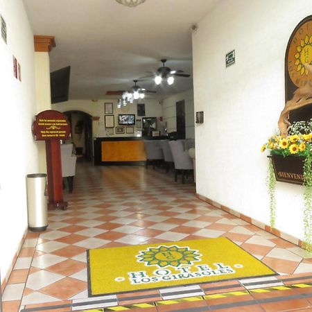 Hotel Los Girasoles Tepic Exterior foto